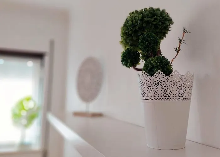 Casa Lena - Sitio Da شقة نازاريه